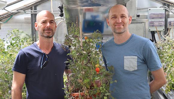 לראשונה בעולם: שיטה גנטית חדשה מאפשרת לחשוף את התפקיד והתכונות של מרבית הגנים בצמח לראשונה בעולם: שיטה גנטית חדשה מאפשרת לחשוף את התפקיד והתכונות של מרבית הגנים בצמח