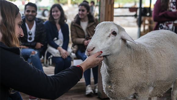 צילום: דן רוזנטל צילום: דן רוזנטל
