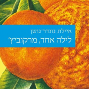 איילת גושן-גונדר, בוגרת האוניברסיטה, זכתה בפרס ספיר לספר ביכורים לשנת 2012 איילת גושן-גונדר, בוגרת האוניברסיטה, זכתה בפרס ספיר לספר ביכורים לשנת 2012